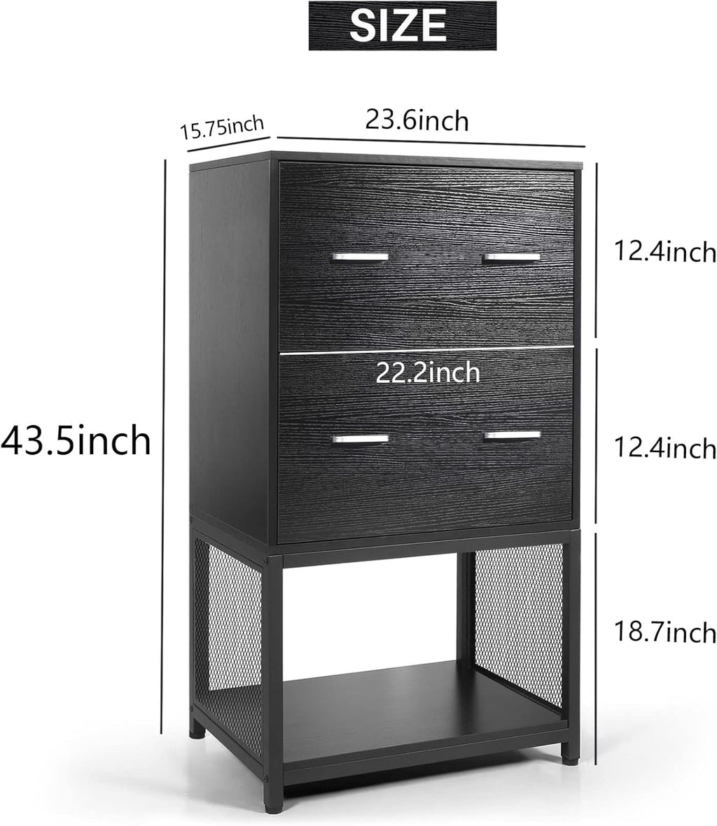 2 Drawer File Cabinet with Metal Wire Storage Shelves S473