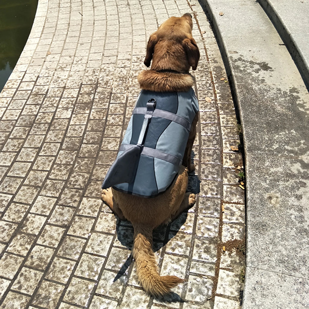 Dog Shark Swimsuit Vest Pet Safety Wear J53260