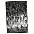 24x36in Hand-Stretched Canvas, White E79814
