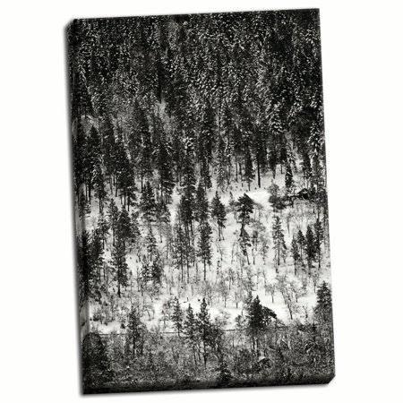 24x36in Hand-Stretched Canvas, White E79814