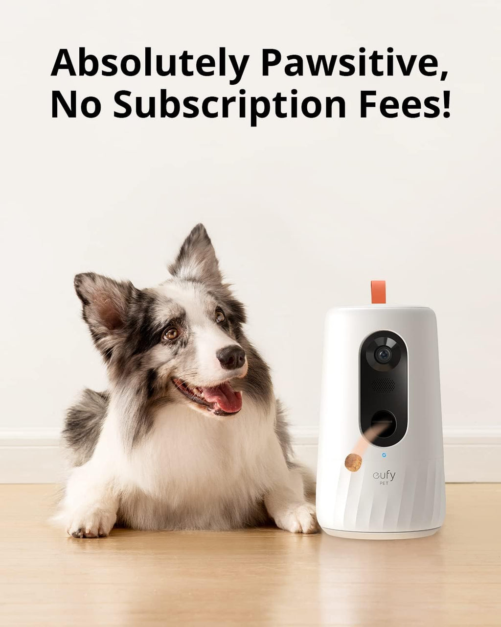 1080p Pet Camera with Treat Dispenser E72782