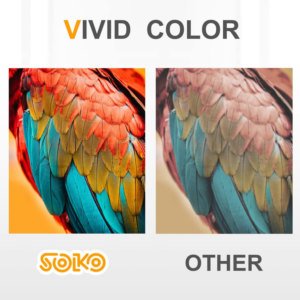 1 Black 1 Cyan 1 Magenta 1 Yellow Toner Cartridge D81416
