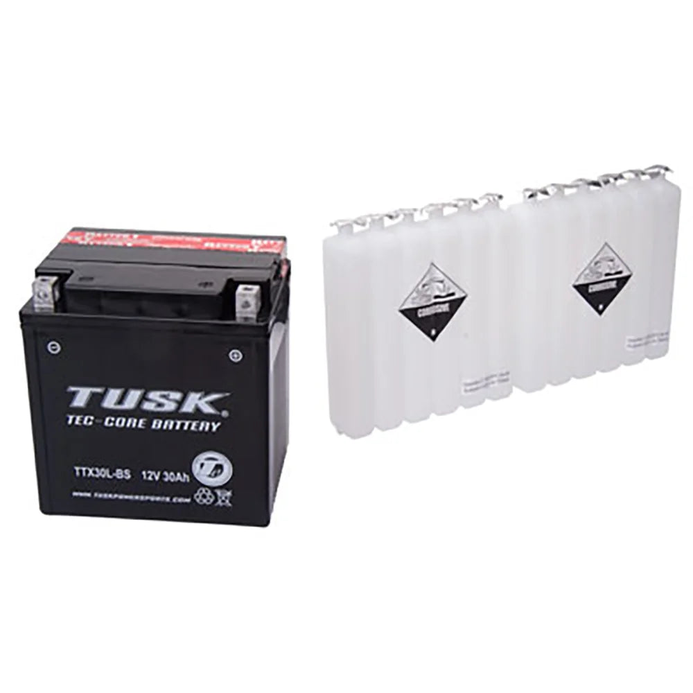 TTX30LBS Maintenance-Free Battery T521