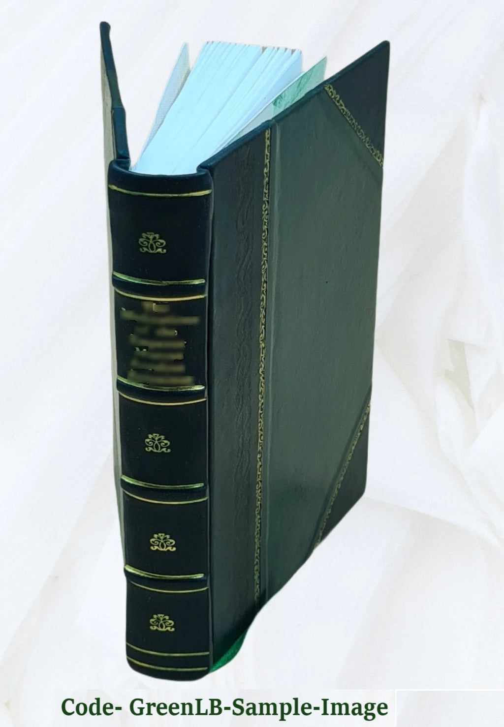 1919 Leather Bound Book P5319