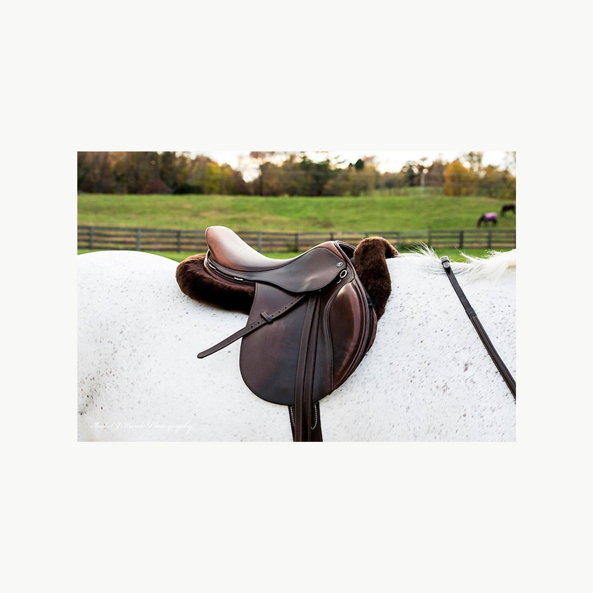Black Large Sheepskin Half Saddle Pad N359485