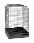 Black Bird Cage Y109