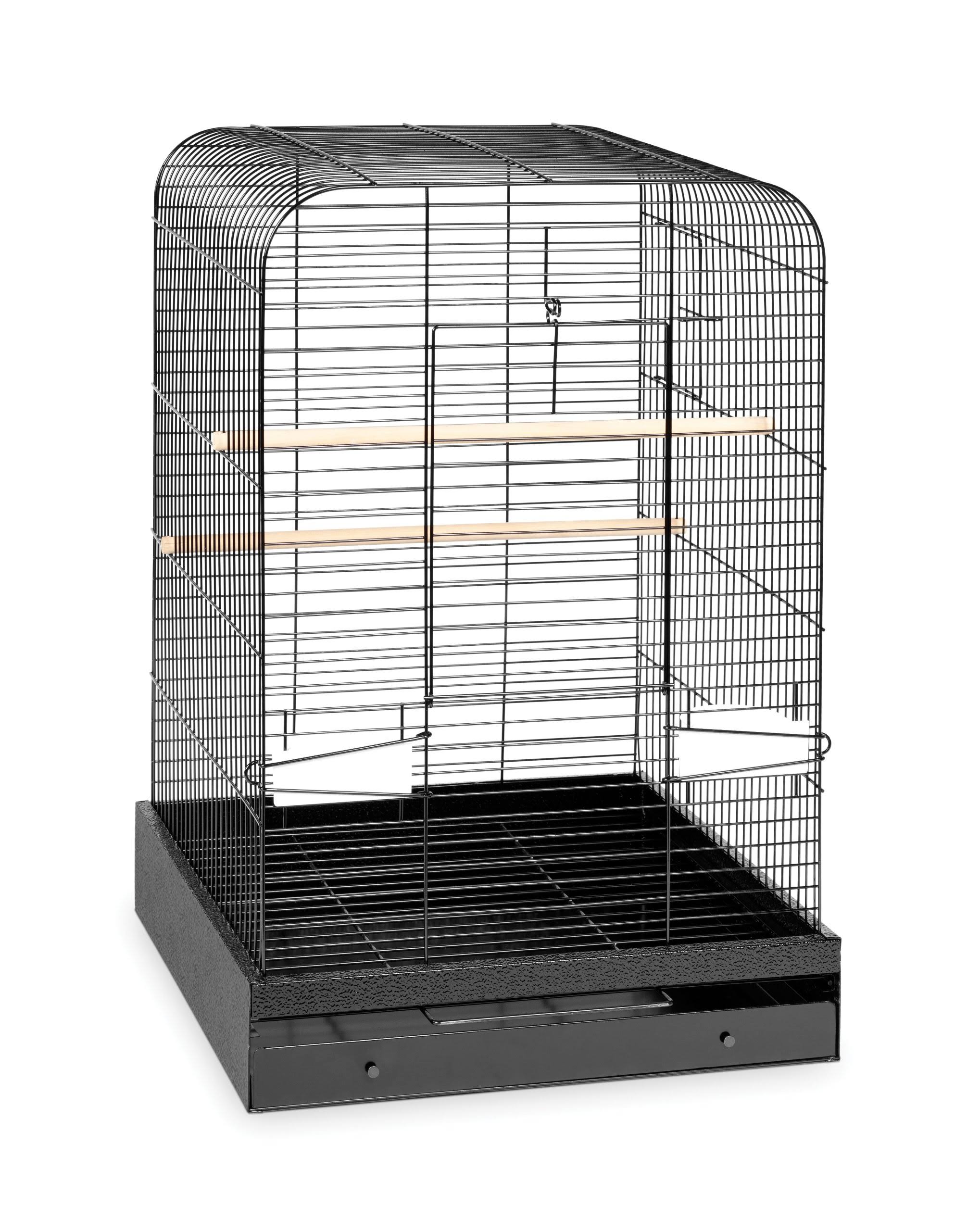 Black Bird Cage Y109
