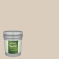 Exterior Paint (5-Gallon) Z12401