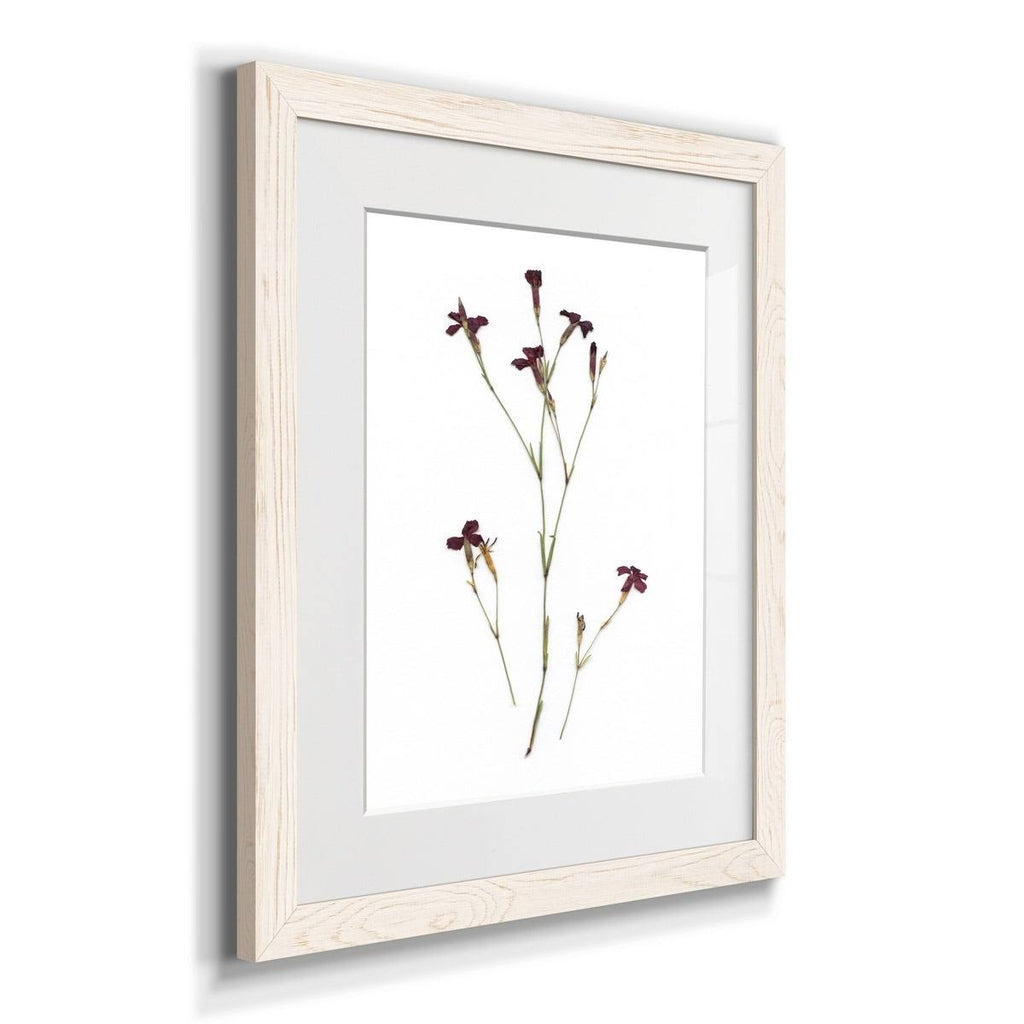 Framed Print - 23X32 - Grey S415