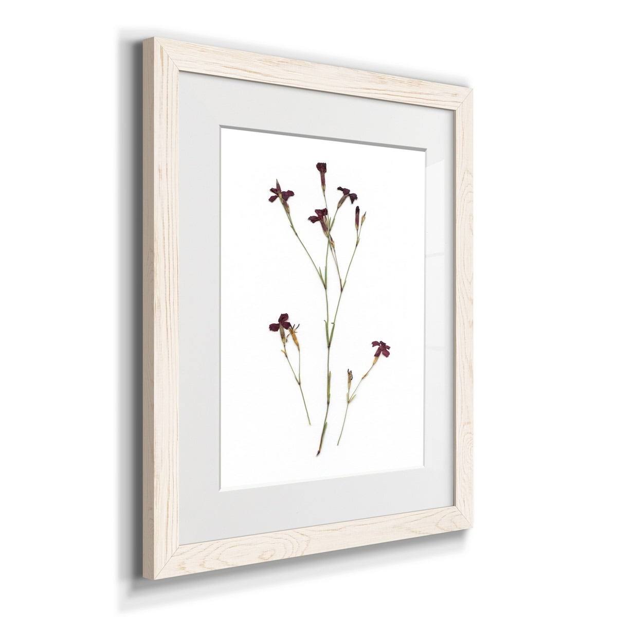 Framed Print - 23X32 - Grey S415