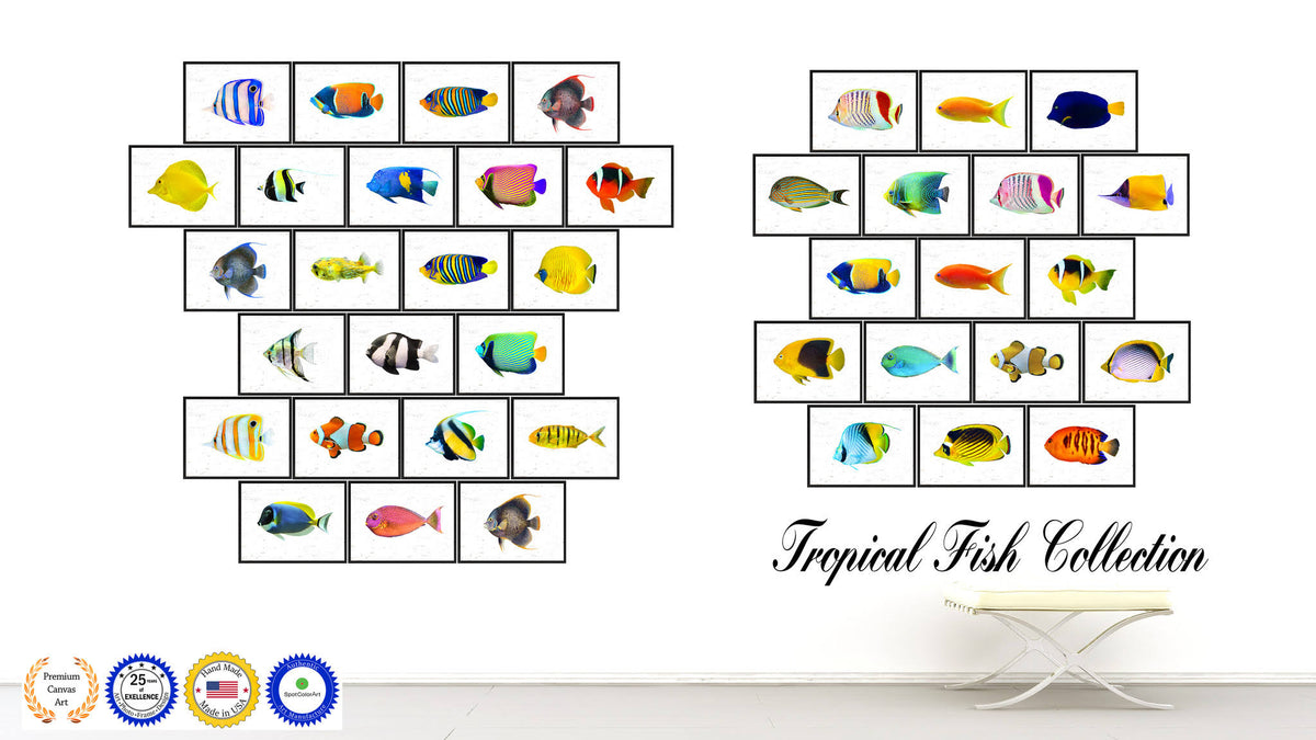 Yellow Clown Tropical Fish Painting Wall Decor F76849