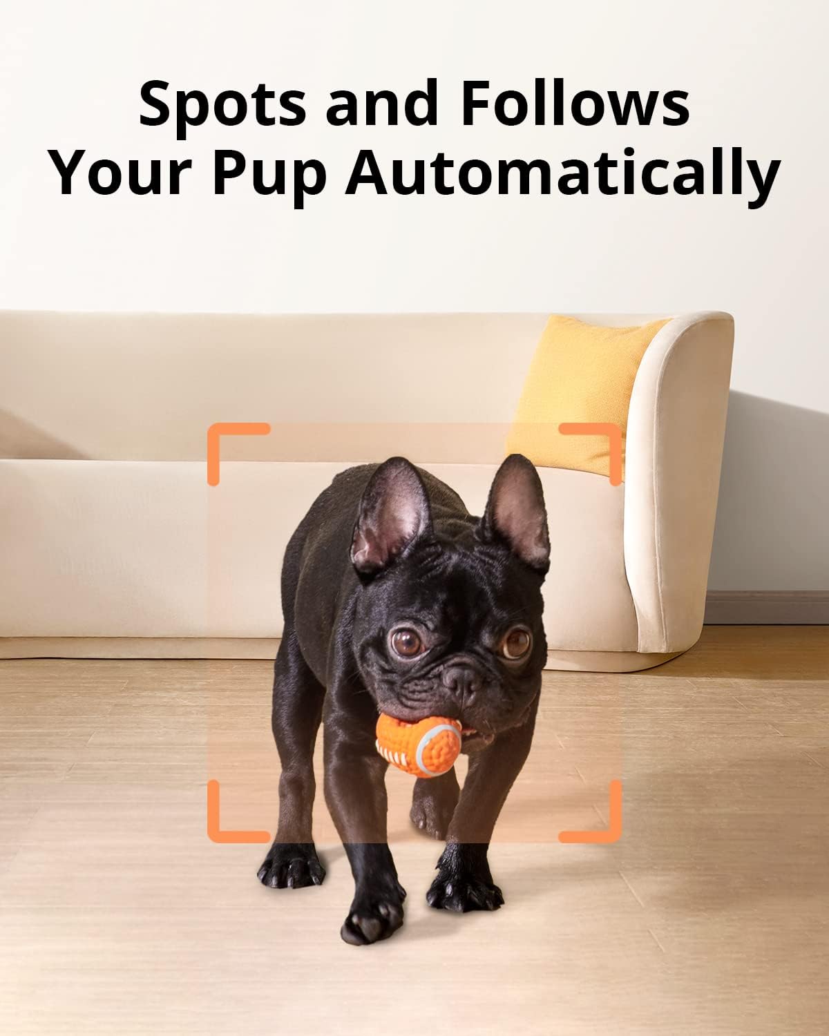 1080p Pet Camera with Treat Dispenser E72782