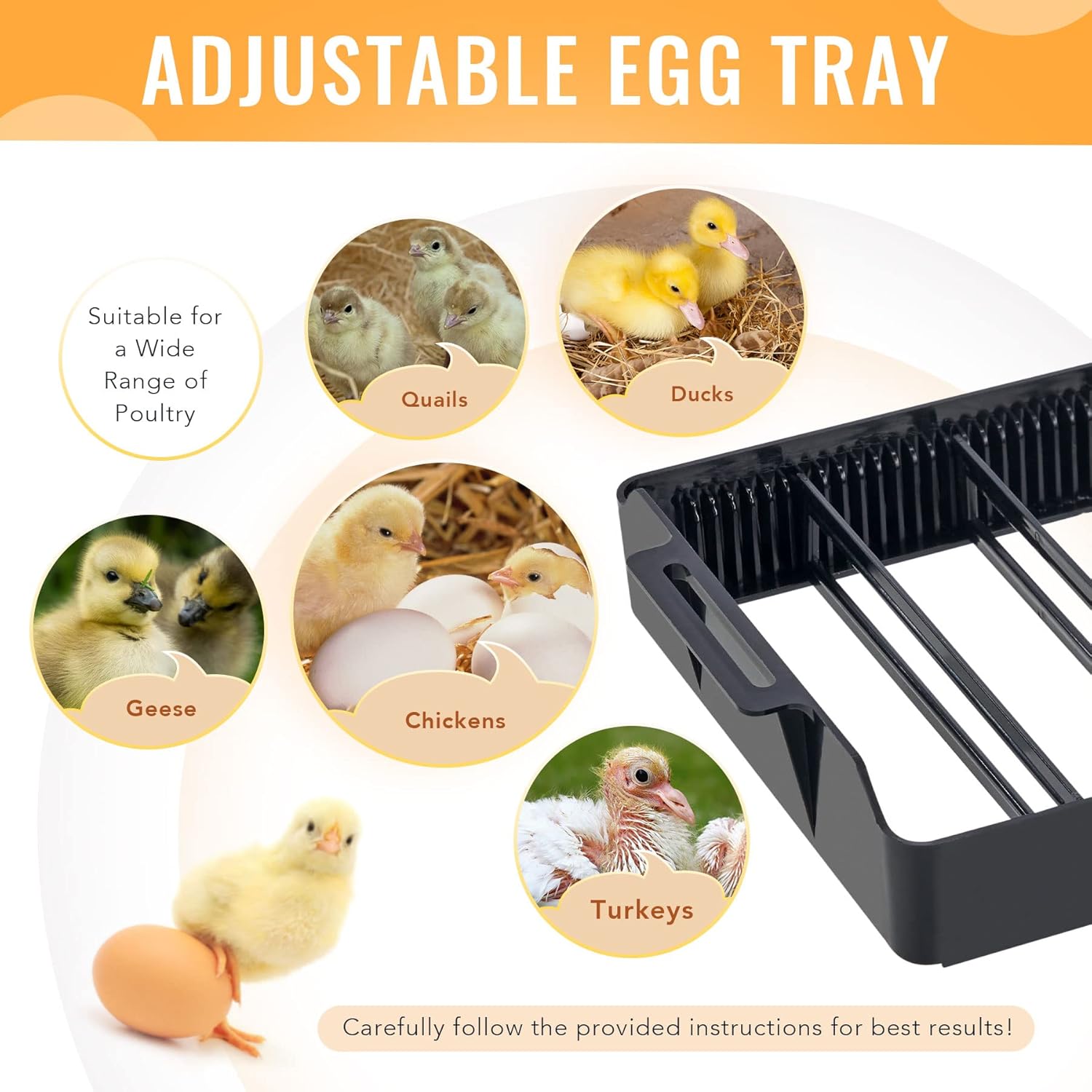 9-35 Eggs Fully Automatic Egg Incubator with LED Candler, Pack of 2 B8857