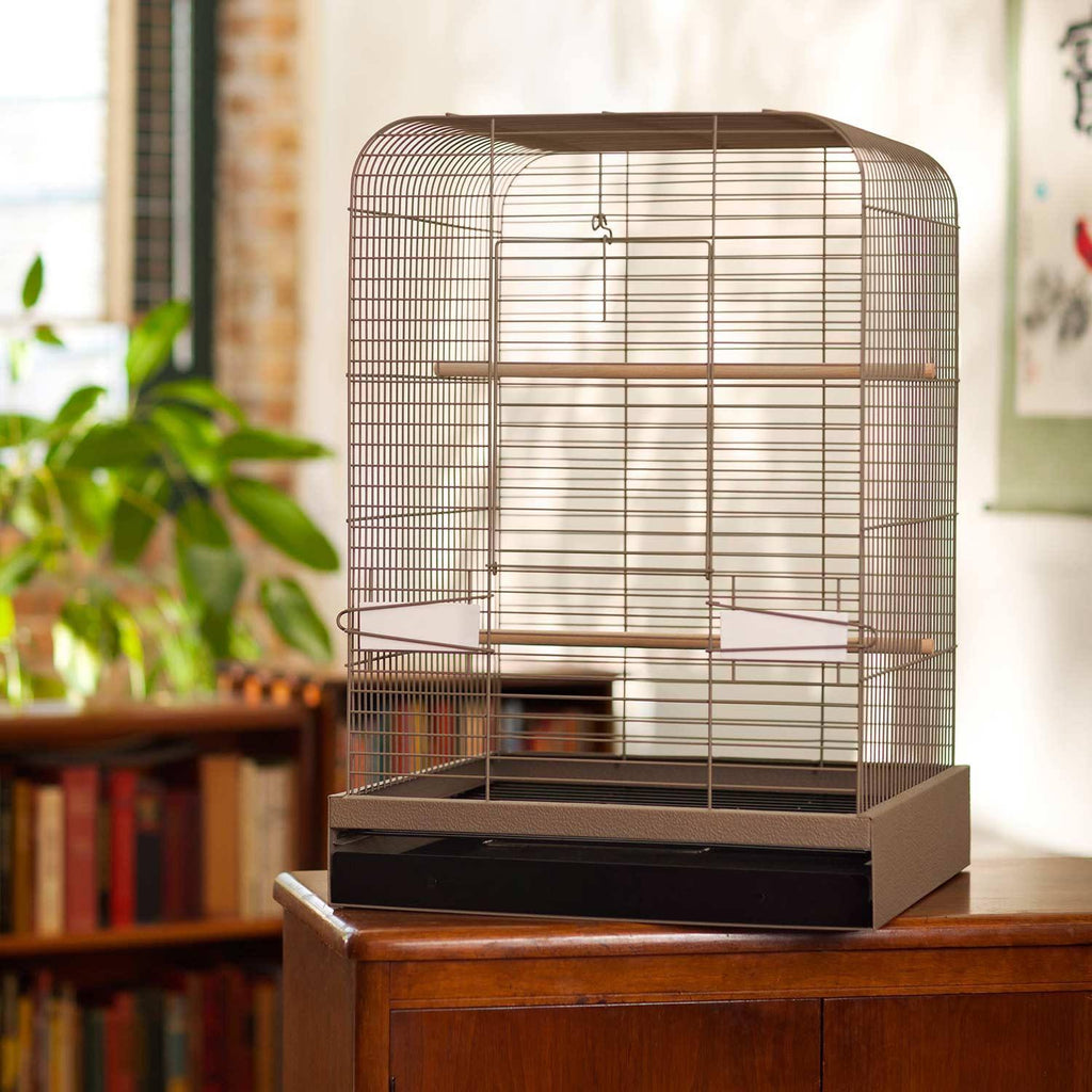 Black Bird Cage Y109