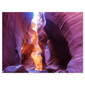 Brown 40 in. x 30 in. Wrapped Canvas Photography G3449