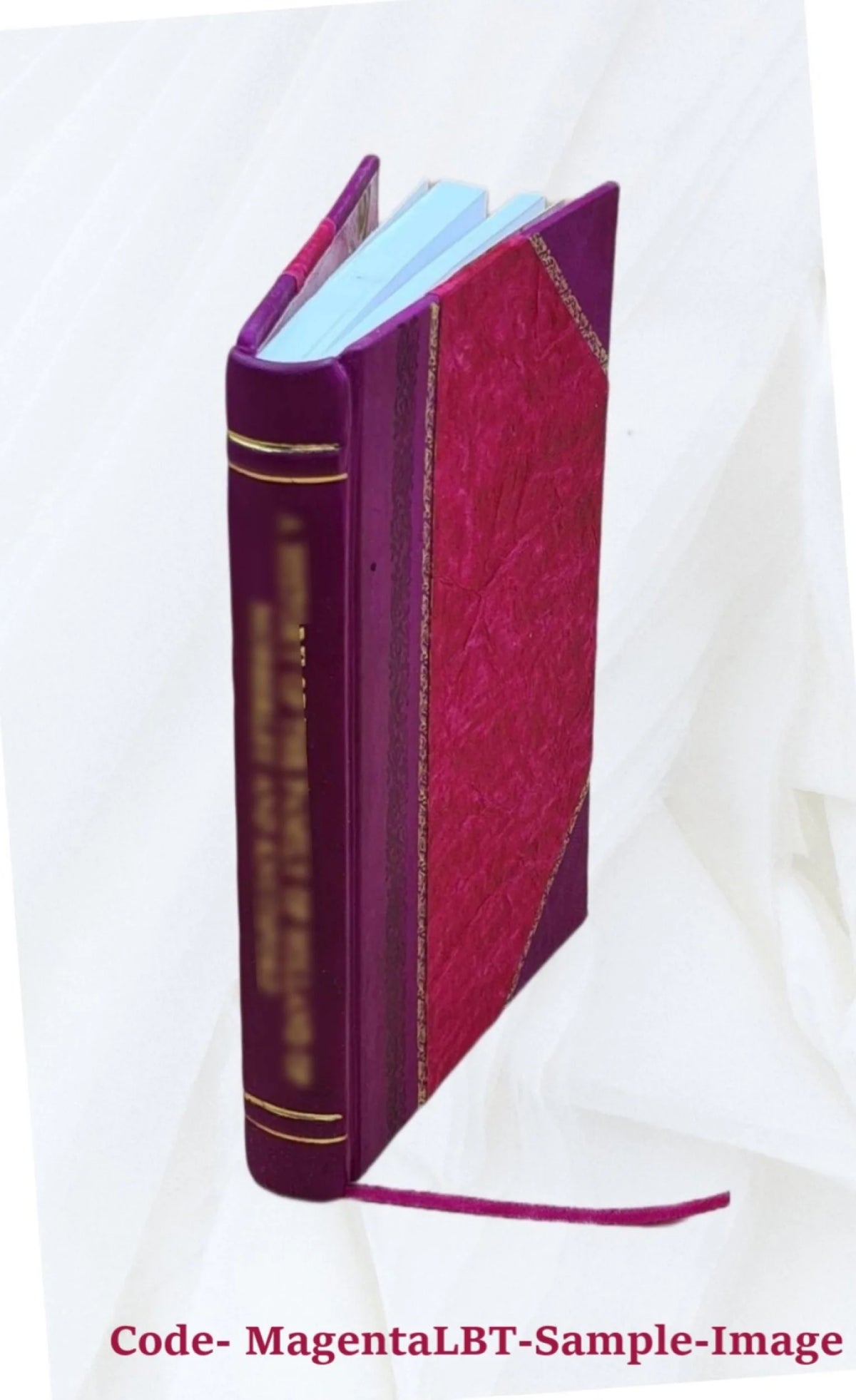 Human Slavery Leather Bound Book Q792097