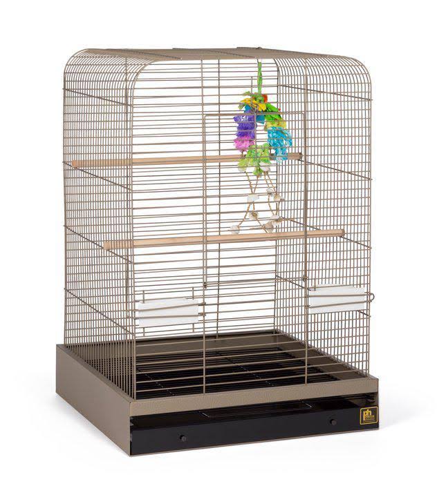 Black Bird Cage Y109