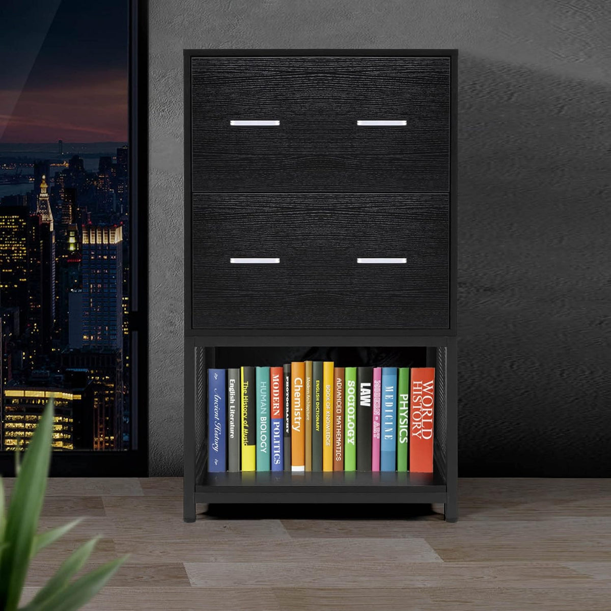 2 Drawer File Cabinet with Metal Wire Storage Shelves S473