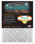 4 Pack 1-Inch Filter T7572