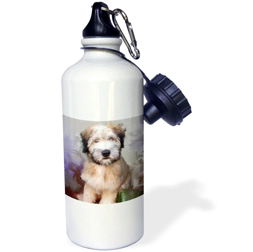 Sports Water Bottle 21oz N475
