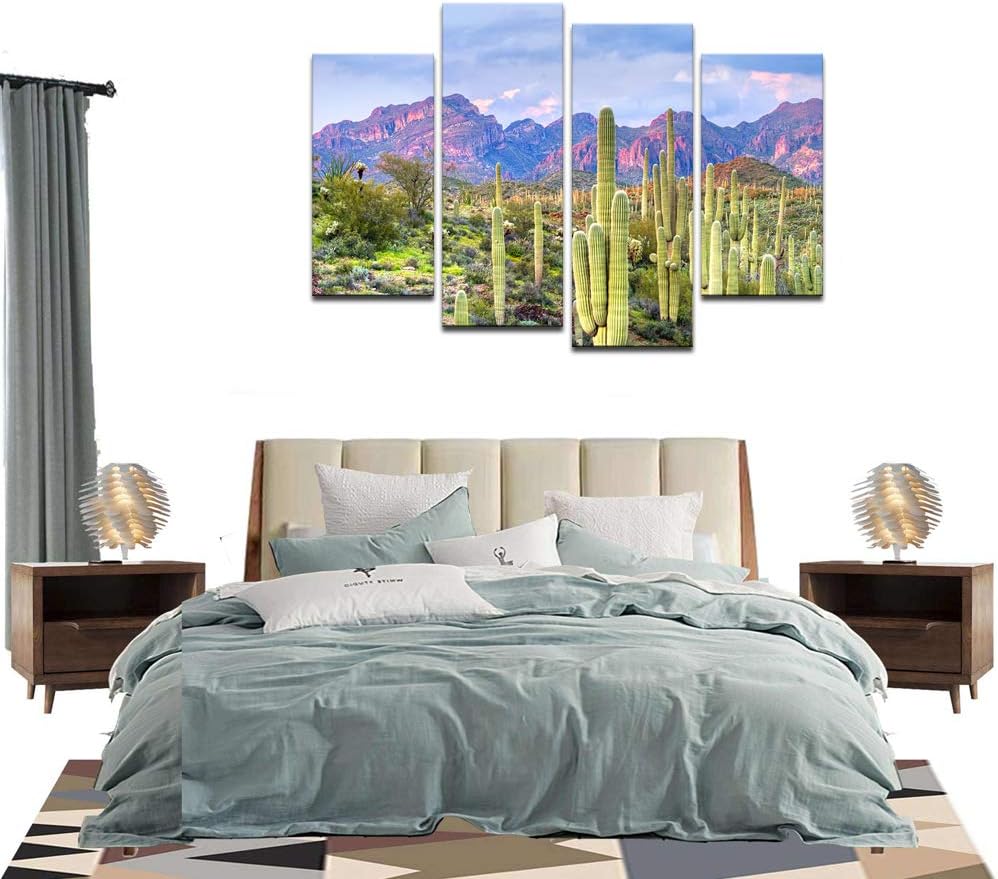 Cactus in Arizona Canvas Print Framed Wall Art Y61626