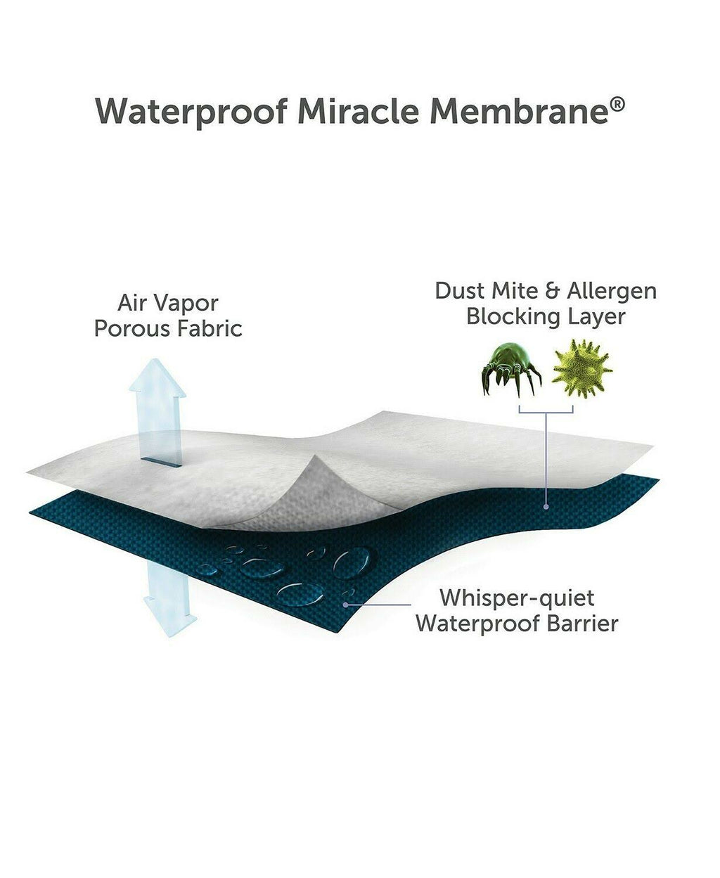 Cotton Terry Waterproof Mattress Protector Split Cal King P2934