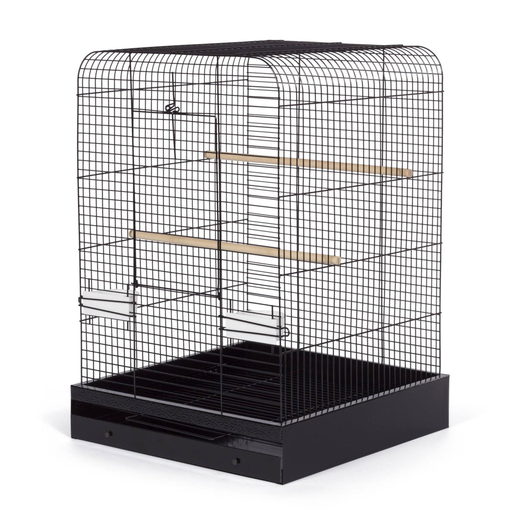 Black Bird Cage Y109