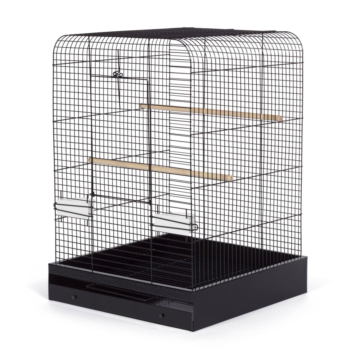 Black Bird Cage Y109