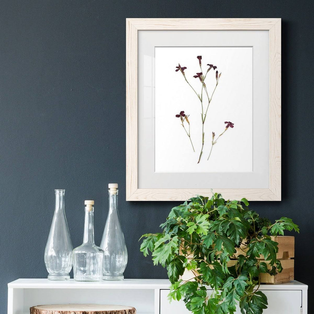 Framed Print - 23X32 - Grey S415