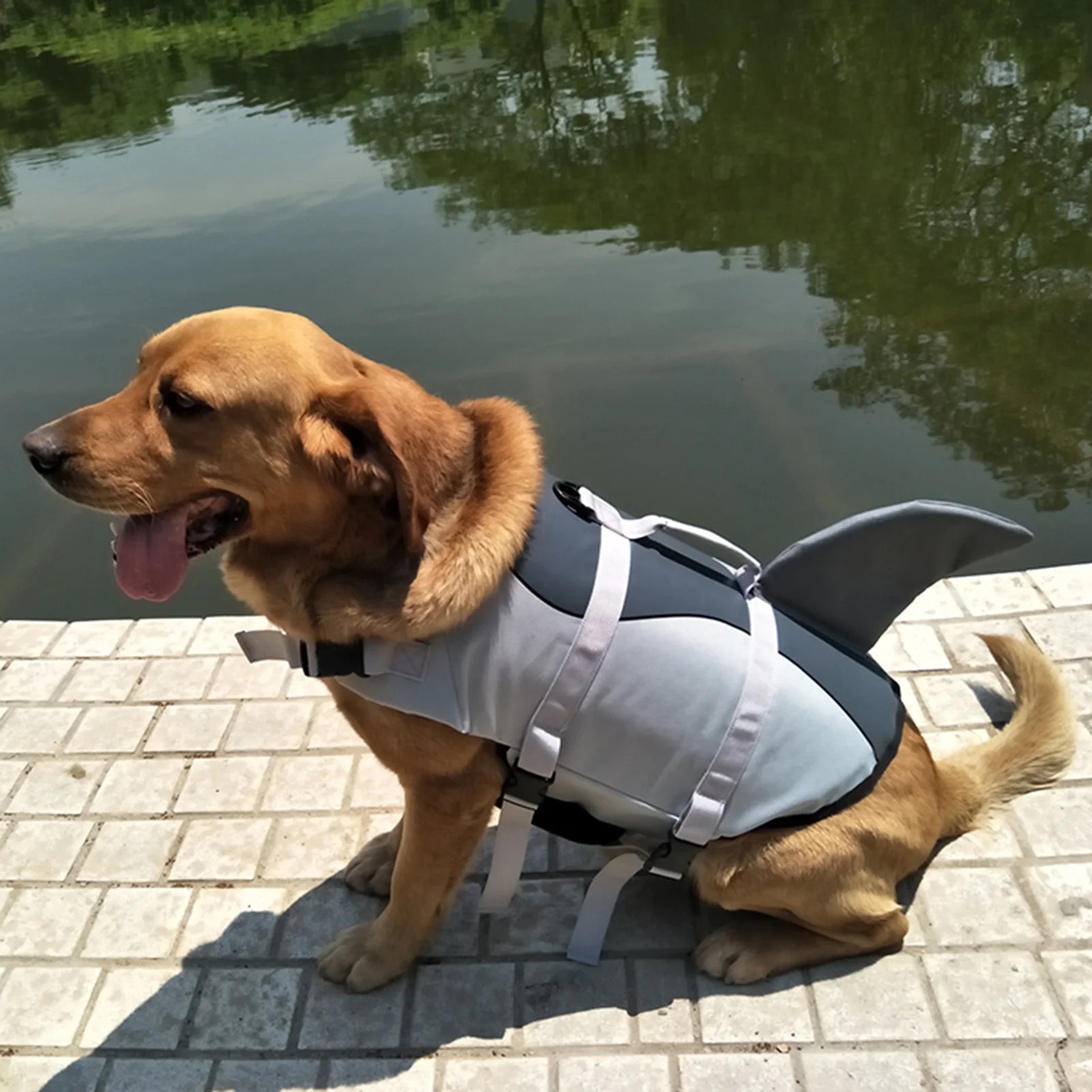 Dog Shark Swimsuit Vest Pet Safety Wear J53260