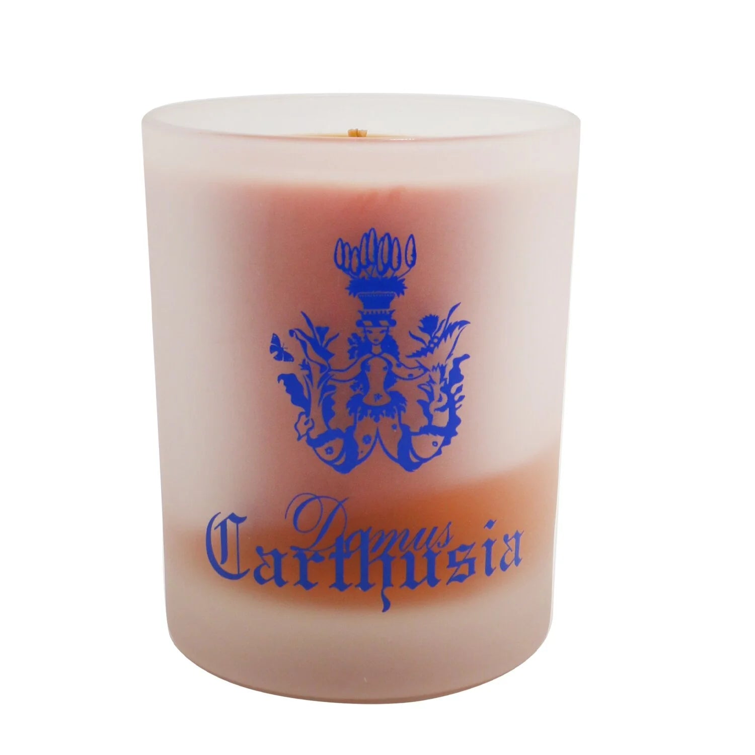 Scented Candle 70g V37198