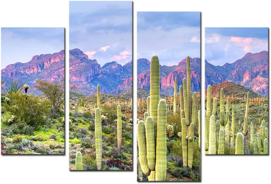 Cactus in Arizona Canvas Print Framed Wall Art Y61626