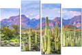 Cactus in Arizona Canvas Print Framed Wall Art Y61626
