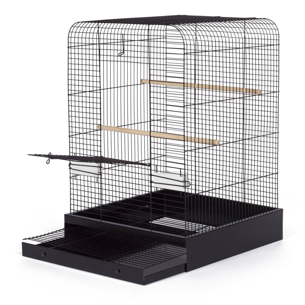 Black Bird Cage Y109