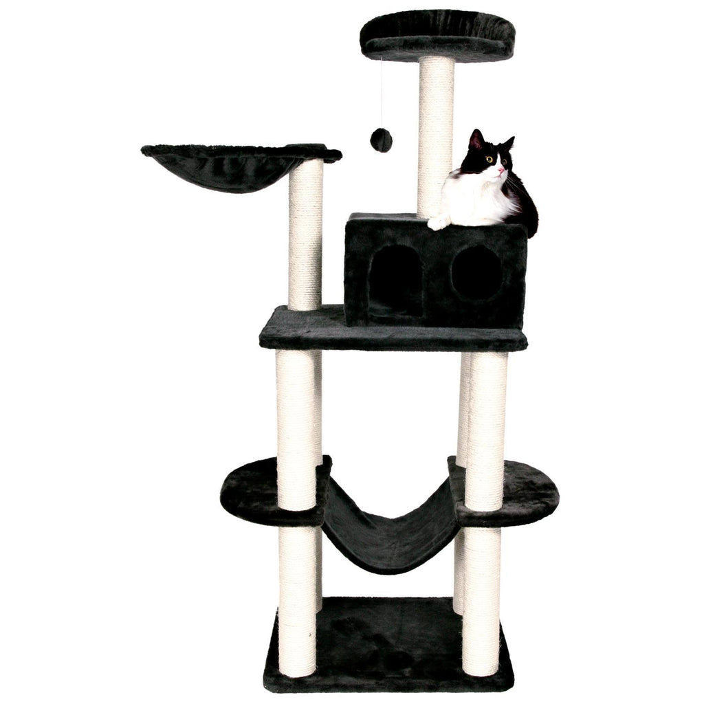 Cat Playground Y496