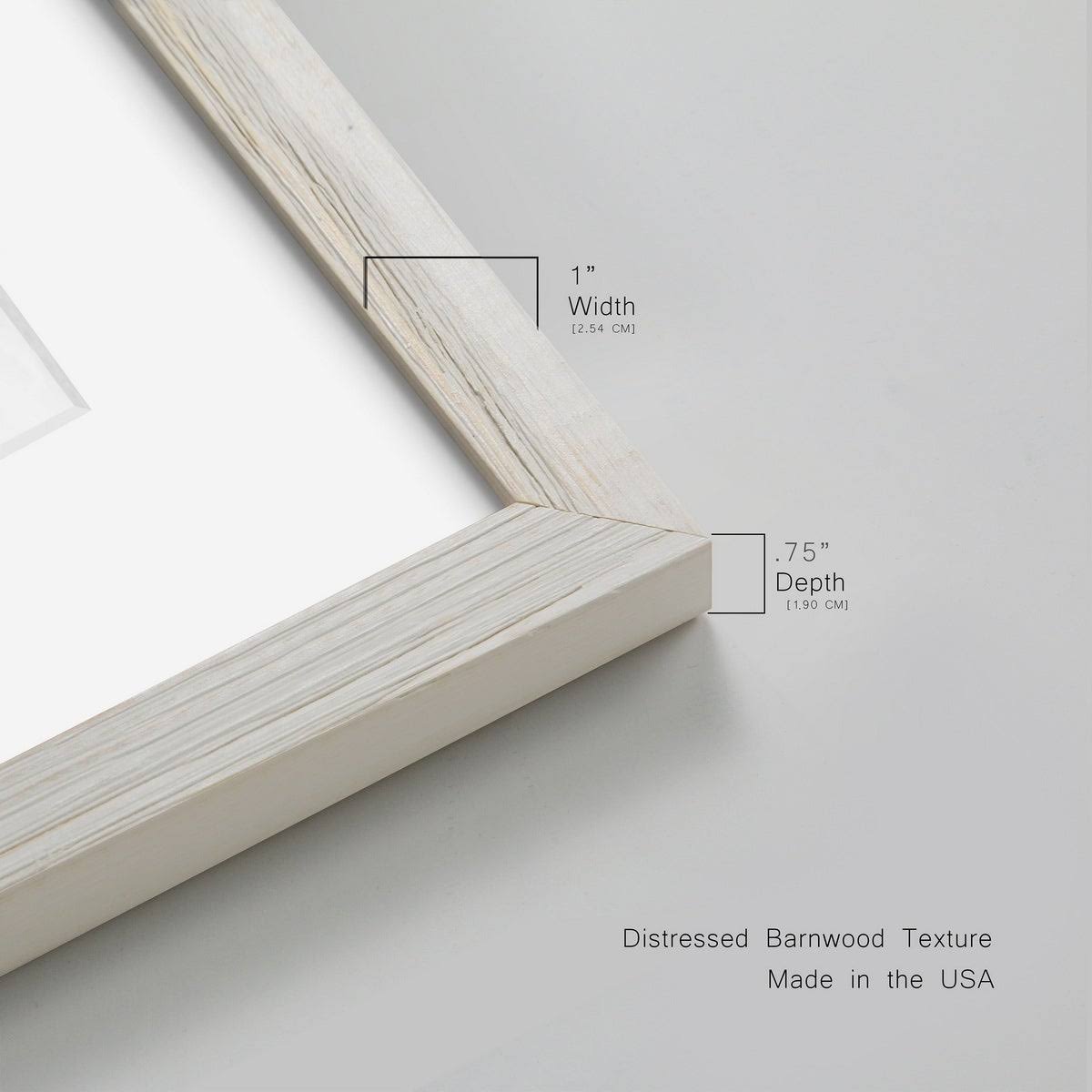 Framed Print - 23X32 - Grey S415