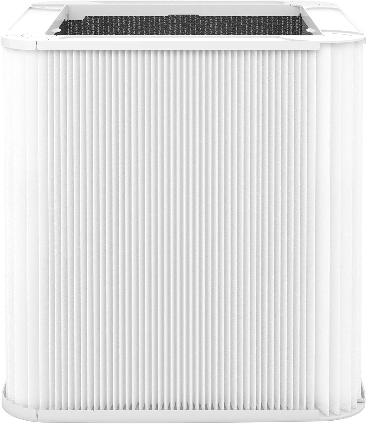 Replacement Particle and Carbon Filter for Blue Pure 211+ Auto Pack of 2 D86612