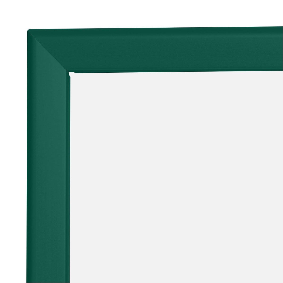 Green SnapeZo Snap Frame D1847