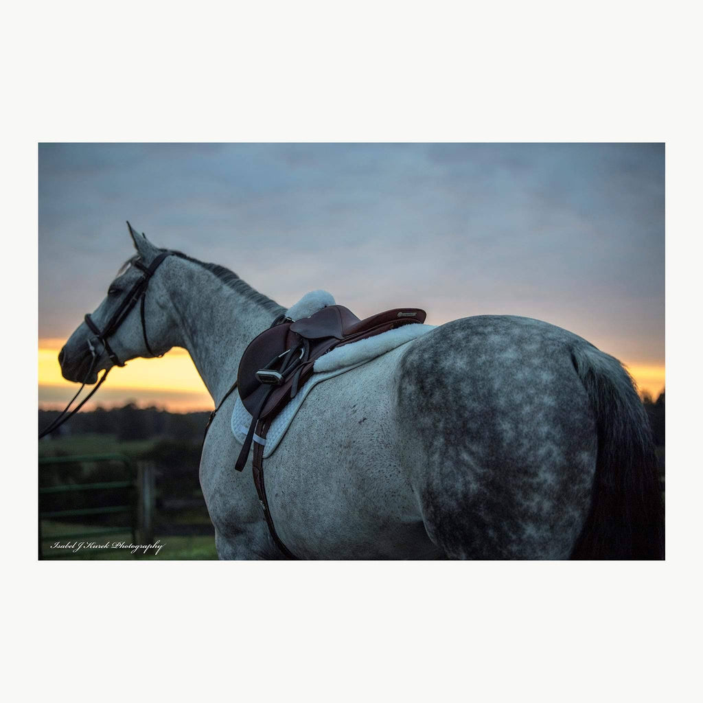 Black Large Sheepskin Half Saddle Pad N359485