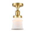 1 Light Semi-Flush Mount R37888