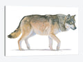 Northern Wild II Print Canvas Art J8380