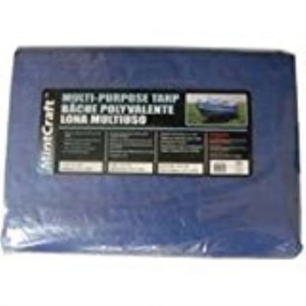 20 Ft L X 10 Ft W Polyethylene Tarp with Aluminum Grommets Z469