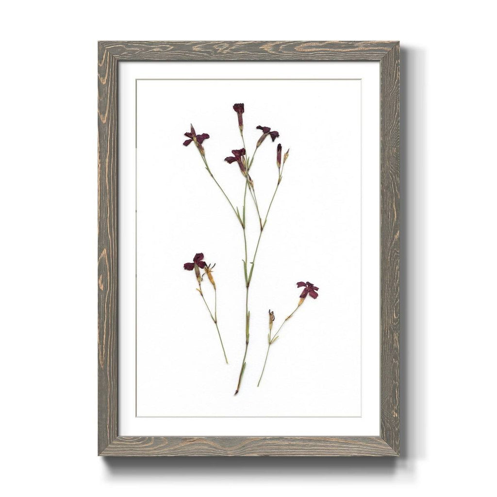Framed Print - 23X32 - Grey S415