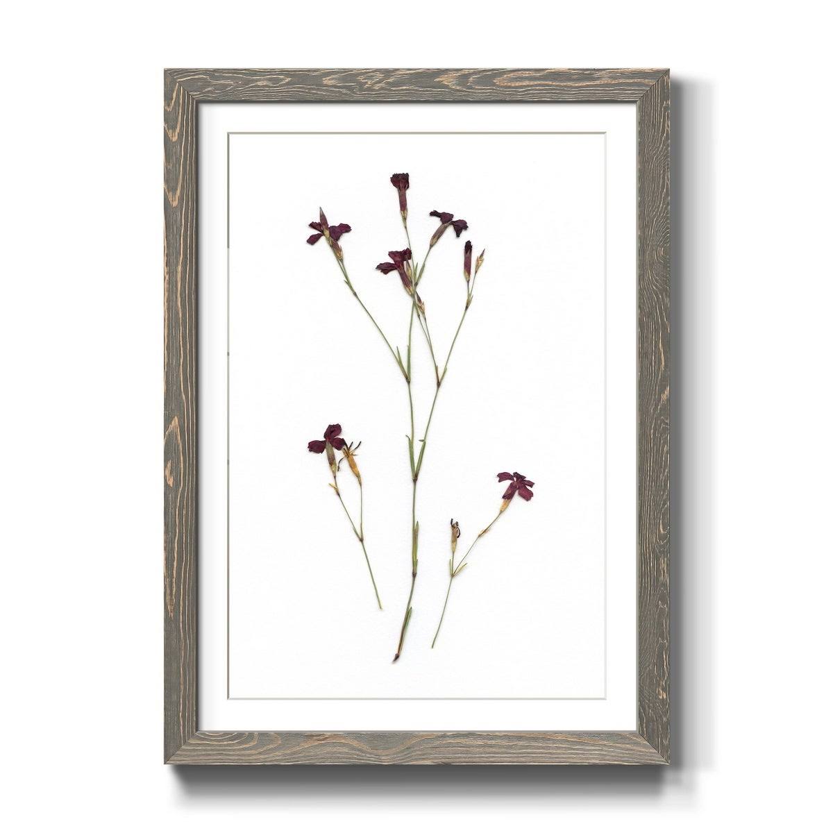 Framed Print - 23X32 - Grey S415