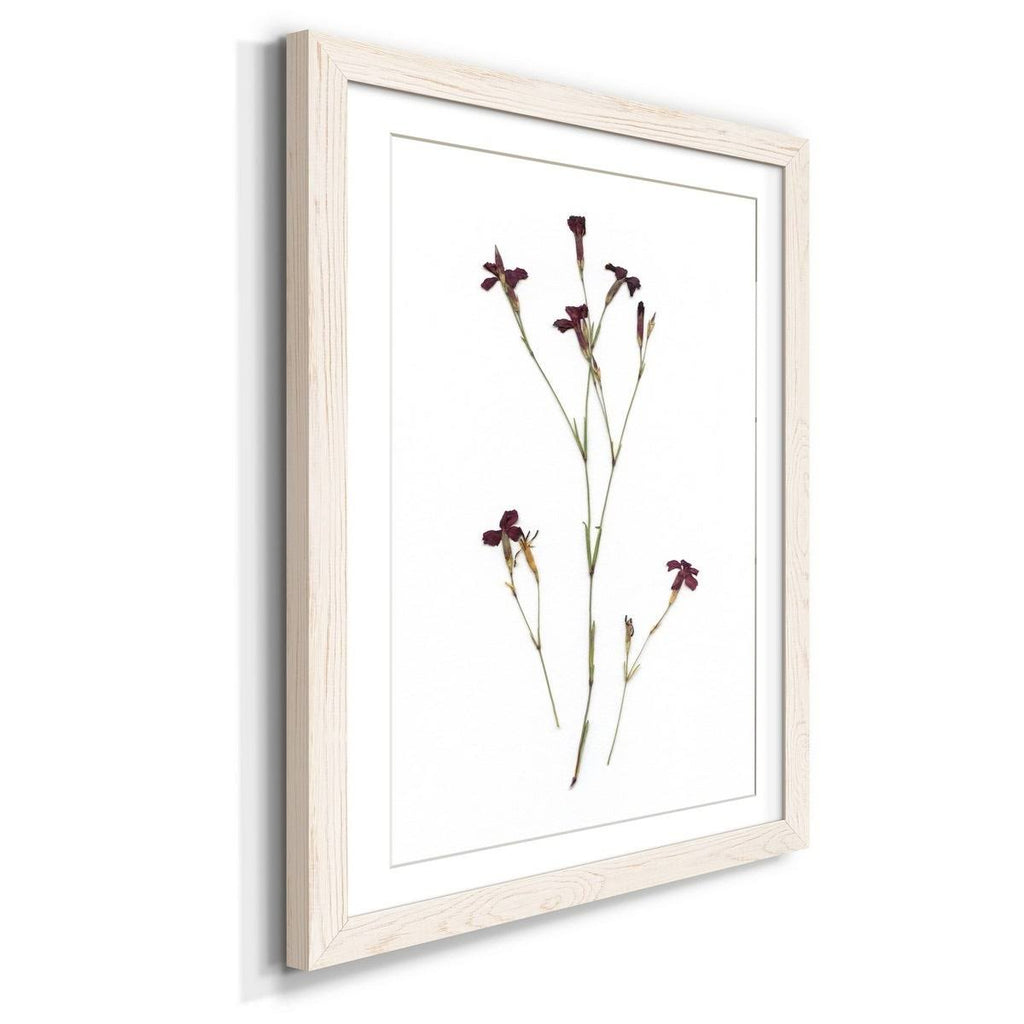 Framed Print - 23X32 - Grey S415