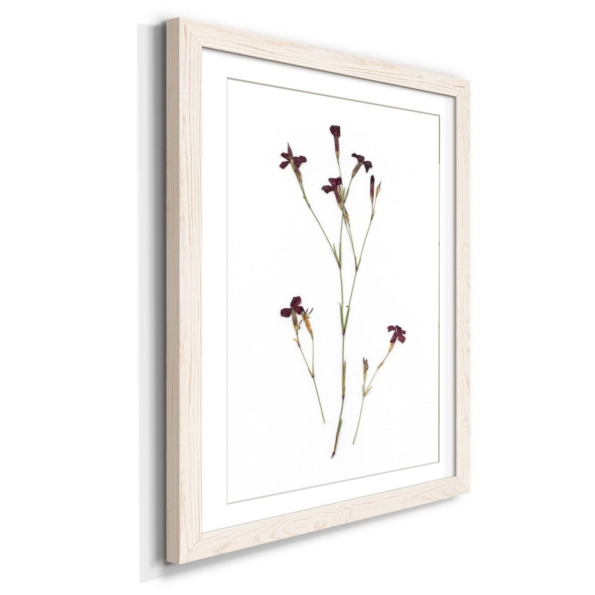 Framed Print - 23X32 - Grey S415