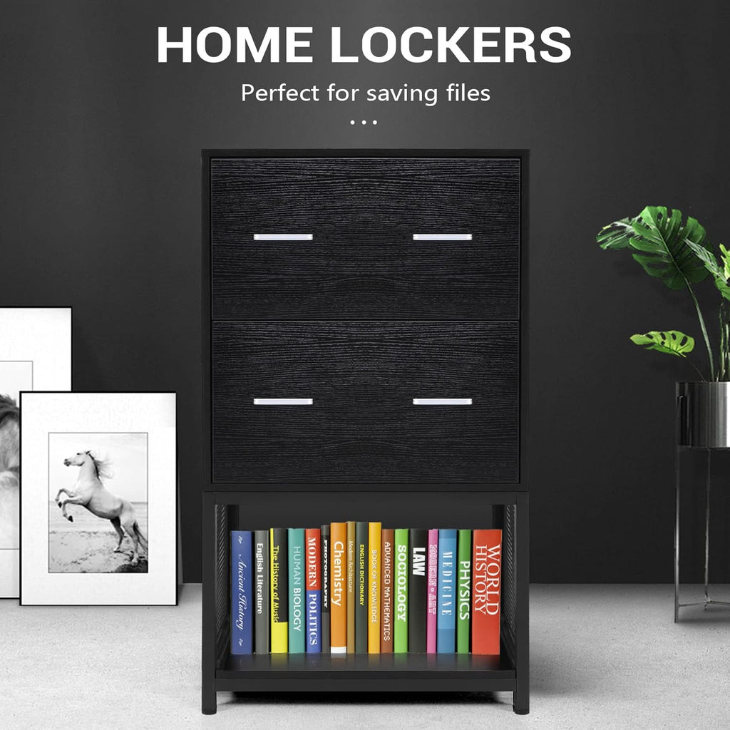 2 Drawer File Cabinet with Metal Wire Storage Shelves S473