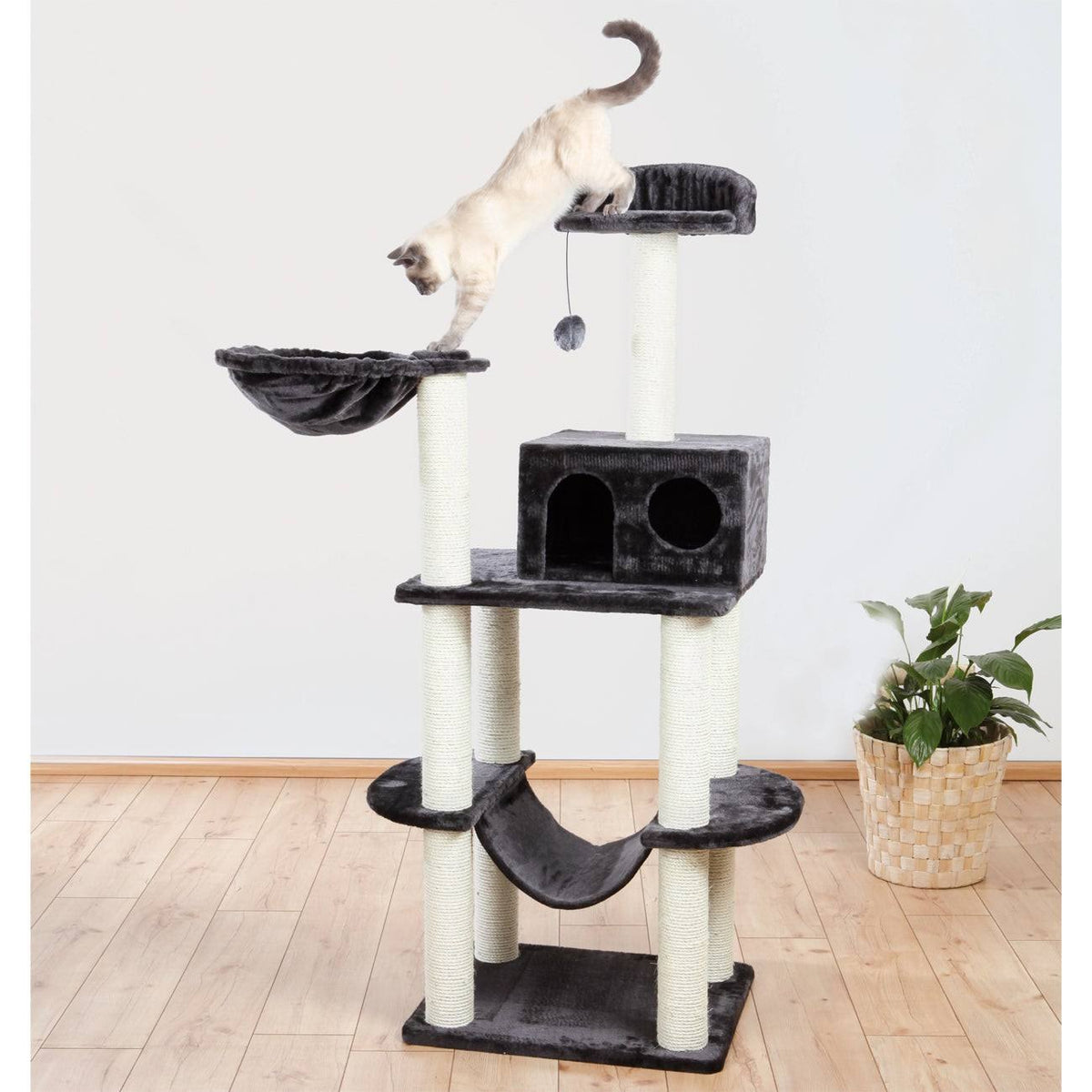 Cat Playground Y496