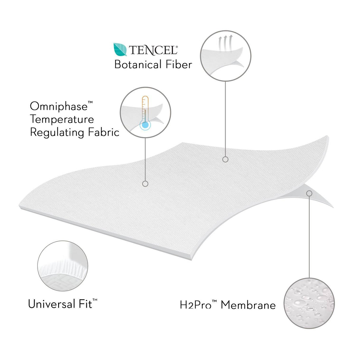 Split Cal King Mattress Protector with Tencel T6525