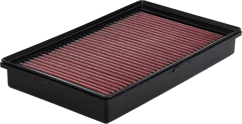 Washable Replacement Engine Air Filter, Pack of 2 L824269